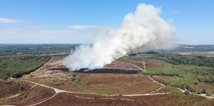 Bonfires not barbecues to blame for wildfire epidemic, says fire chief