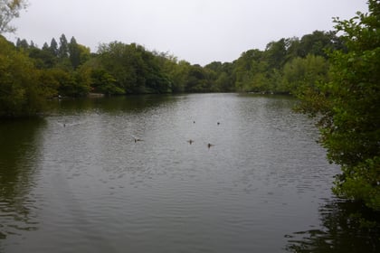 Narrow majority backs cutting off Alton's Kings Pond from River Wey