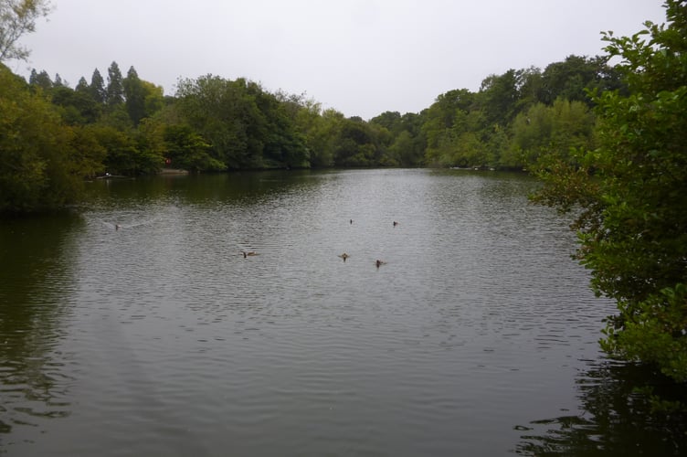 Kings Pond in Alton on August 23rd 2022.