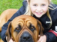 Every dog has his day at Chobham's RSPCA show