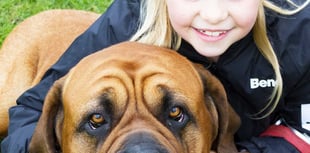 Every dog has his day at Chobham's RSPCA show