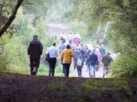 Controversial fencing plans given the all-clear in Chobham