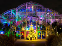 Wisley takes on a festive glow