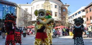 Celebrate Chinese New Year in Woking