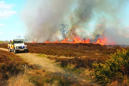 Fire tears through Chobham Common