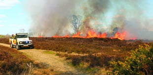 Fire tears through Chobham Common