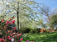 Visit the glorious Timber Hill Gardens this Easter Monday