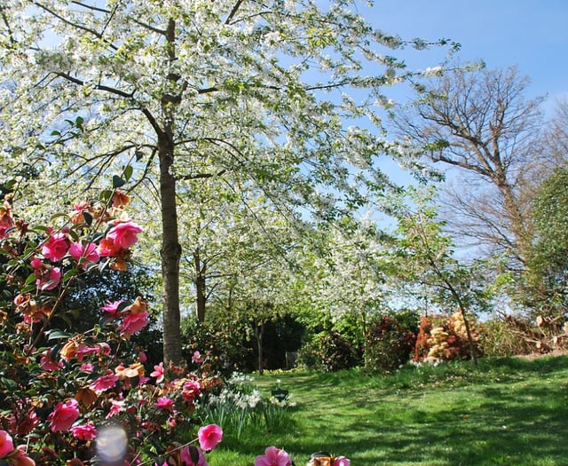 Visit the glorious Timber Hill Gardens this Easter Monday