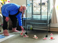 Mice infest sheltered housing