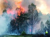 Countryside managers issue plea to stop wildfires