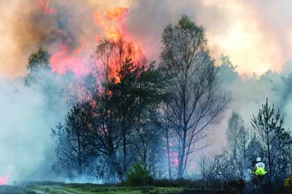 Countryside managers issue plea to stop wildfires