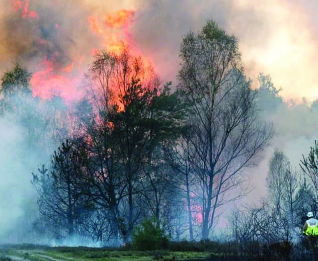 Countryside managers issue plea to stop wildfires