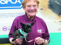 100 year old animal charity worker calls for 100 dog walk