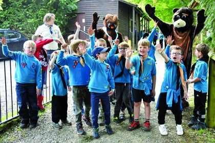 Beavers "Go Wild" at Scout camp