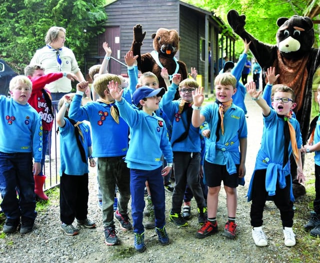 Beavers "Go Wild" at Scout camp