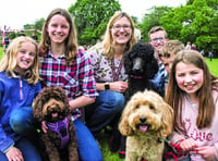 Fun dogs and fundraising at Millbrook dog show