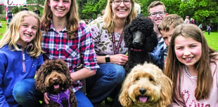 Fun dogs and fundraising at Millbrook dog show