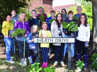 Brookwood residents add a little greenery to community