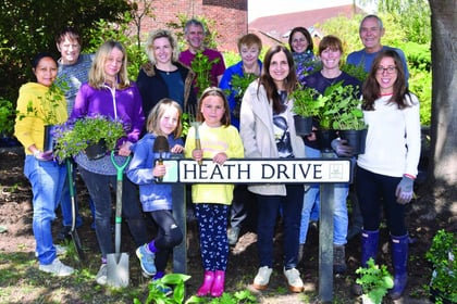 Brookwood residents add a little greenery to community