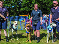 Gala Day at RSPCA Millbrook