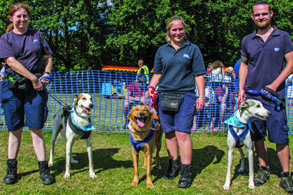 Gala Day at RSPCA Millbrook