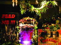 Florist becomes Little Shop of Horror for Halloween