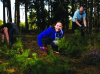 McLaren staff tidy up common