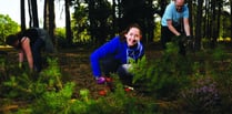 McLaren staff tidy up common