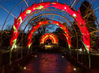 Wisley Glows up for Christmas