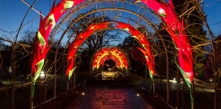 Wisley Glows up for Christmas