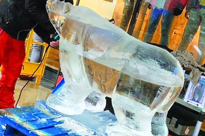 Penguin ice sculpture