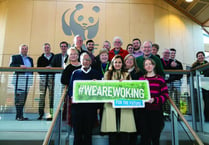 Woking’s joint campaign to improve future environment