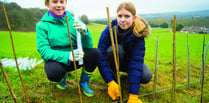 Woking guides battle climate crisis with 200-meter hedge