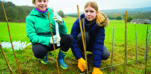 Woking guides battle climate crisis with 200-meter hedge