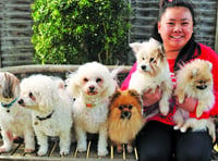 Crufts winner stays active with help of furry friends