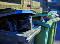 County councillor calls on residents to help binmen during crisis