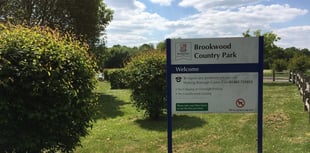 Police appeal after indecent exposure at park