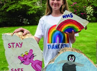 Teenage artist raises over £1,000 for NHS with log art creations