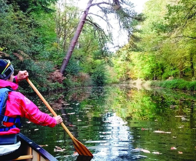 Paddle into a peaceful waterworld