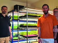 Companies join forces to increase microgreen yields