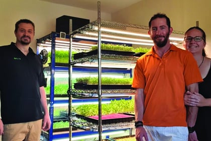 Companies join forces to increase microgreen yields