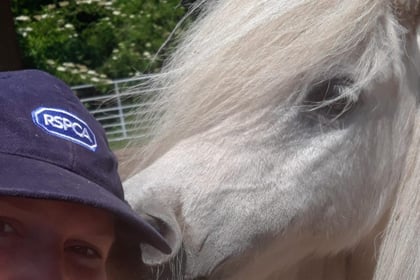 Plight of horses inspires Charlotte in 150km trek