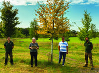 Natural burial ground judged best again