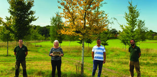 Natural burial ground judged best again