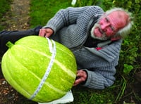 Enormous squash stuns allotment holder