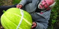 Enormous squash stuns allotment holder