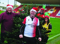 Football club branches out to sell Christmas trees at festive market