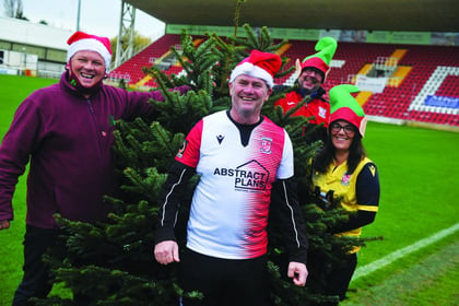 Football club branches out to sell Christmas trees at festive market