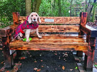 Bench in memory of well-known village stalwart