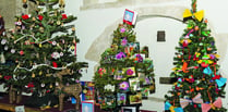 Topical festive tree display brings joy